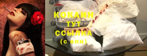 a pvp Бородино