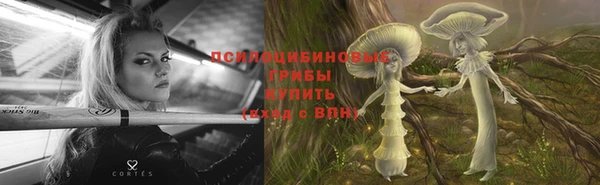 бутират Богданович