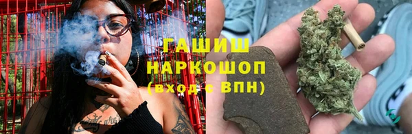 сатива Бугульма