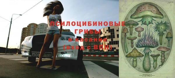 сатива Бугульма